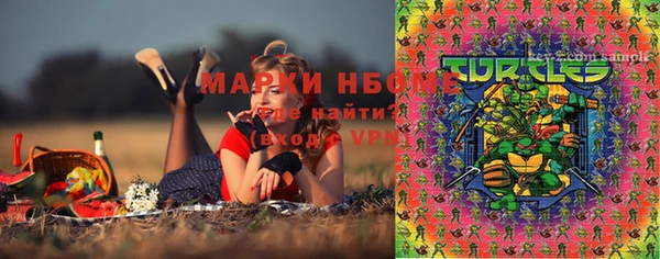 стаф Кинешма